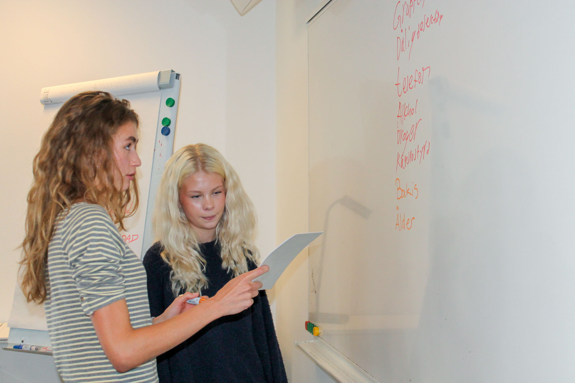 Två personer som står framför en whiteboardtavla.